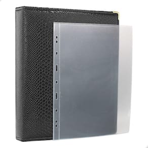 Álbum Fichário 40 Folhas Cédulas 1 Espaço 32x24 Cobra GF