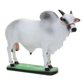 Escultura em Resina Boi Nelore Home Western Decor 25698