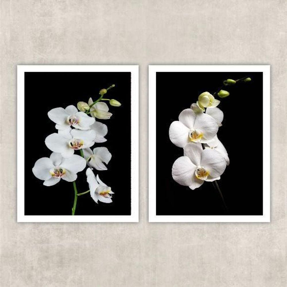 Kit 2 Quadros Fotografia Orquídeas Brancas 24X18Cm - Vidro