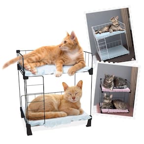Beliche para Gatos Cama Caminha Pet Aramada 45x40cm Branco com Colchonete Fêmea