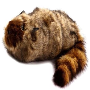 Robby The Raccoon + Video Explicativo G+