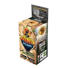 Dino Explorers - Fun Divirta-se