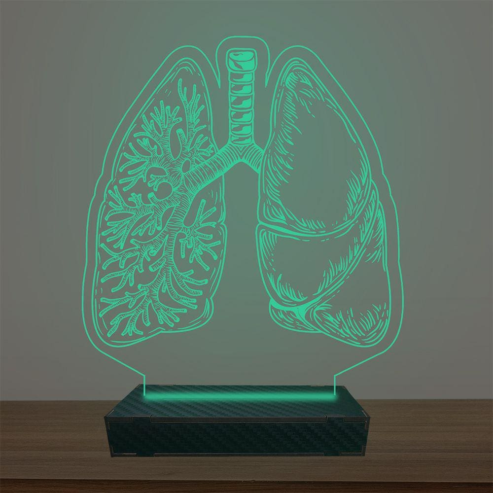 Luminária Led 3d Pulmão Pneumologista Abajur Luxo