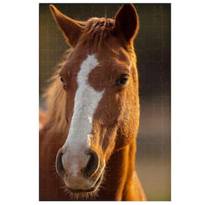 Quebra-Cabeça Cognitivo Belo Cavalo 300 peças