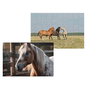 Kit 2 Quebra-cabeças Atividades para Mente Cavalos 60 peças
