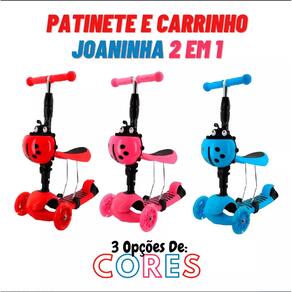 Triciclo Bandeirante Zootico Passeio e Pedal Joaninha - Rosa