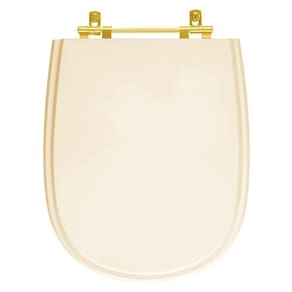 Tampa De Vaso Paris Bone Para Bacia Ideal Standard