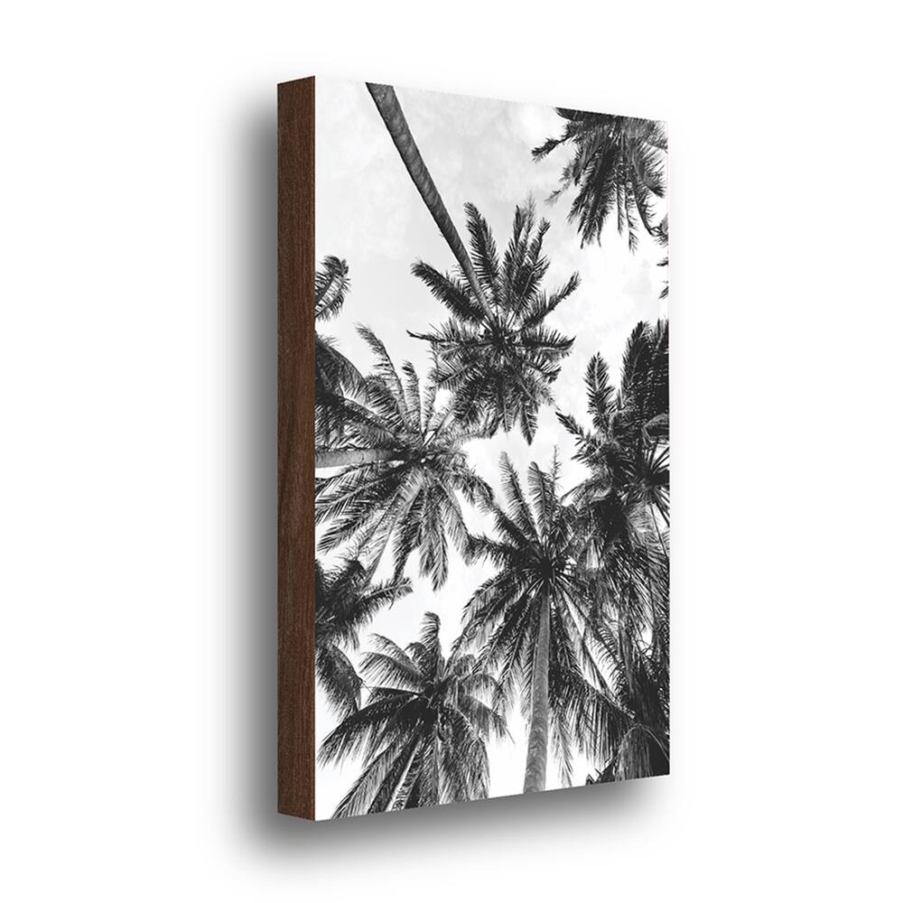 Quadro Decorativo Coqueiros Preto e Branco 40x60cm