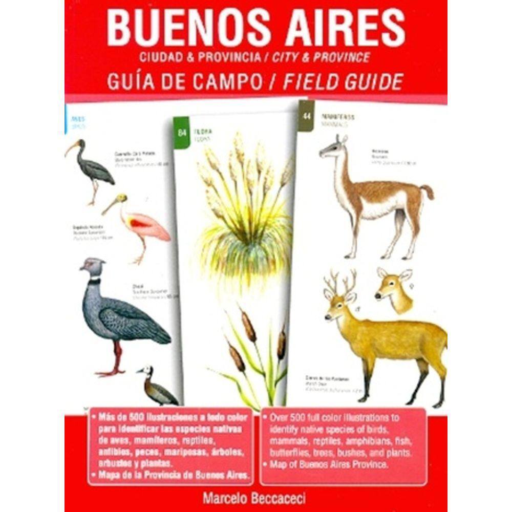 Buenos Aires  Ciudad E Provincia  Guía De Campo