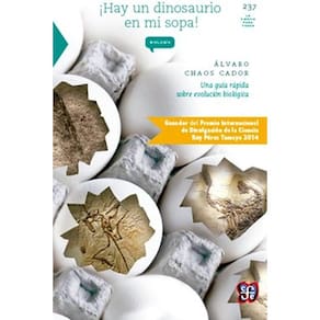 Hay Un Dinosaurio En Mi Sopa Una Guía Rápida Sobre Evolución Biológica