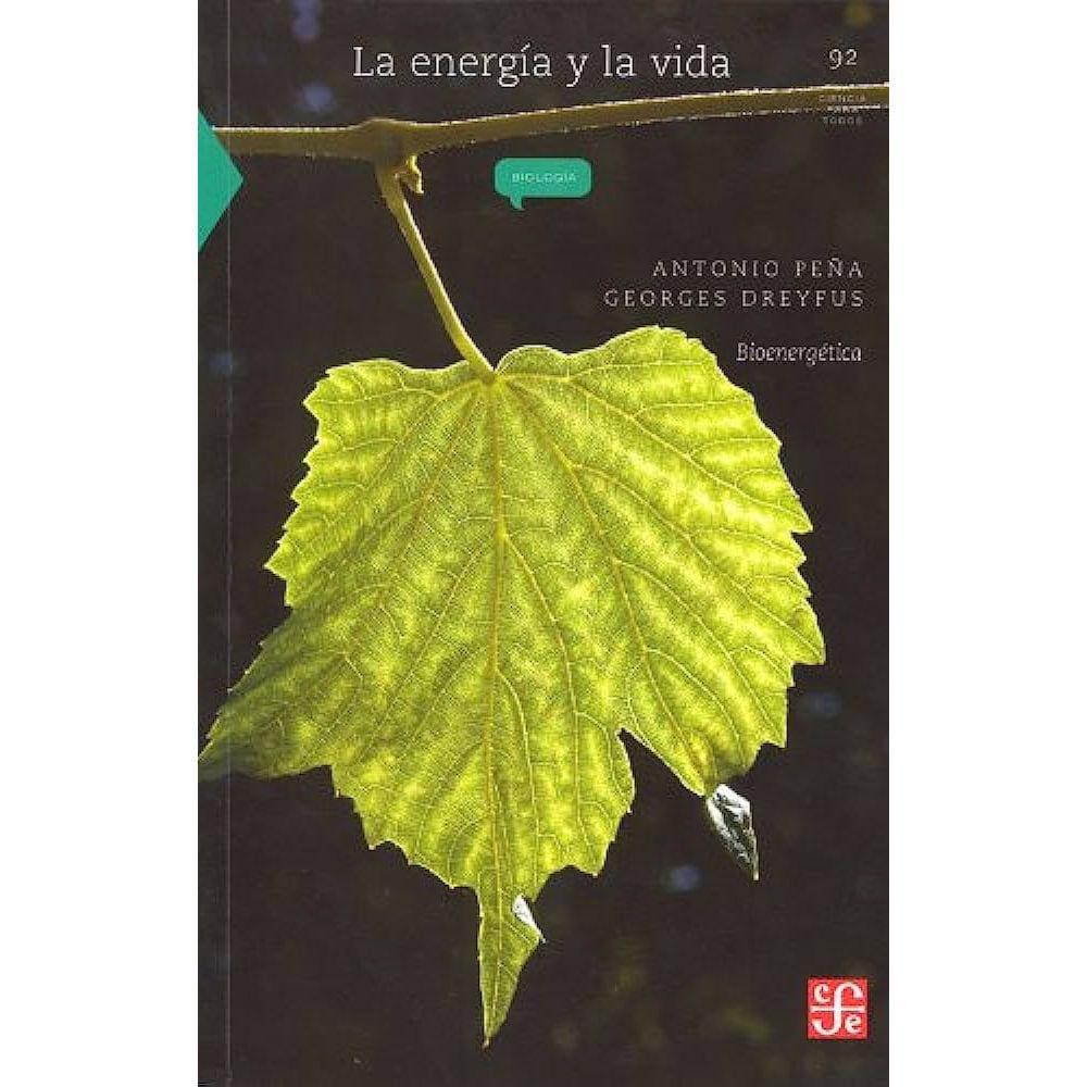 La Energia Y La Vida Bioenergetica