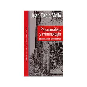 Psicoanálisis Y Criminología Estudios Sobre La Delincuencia