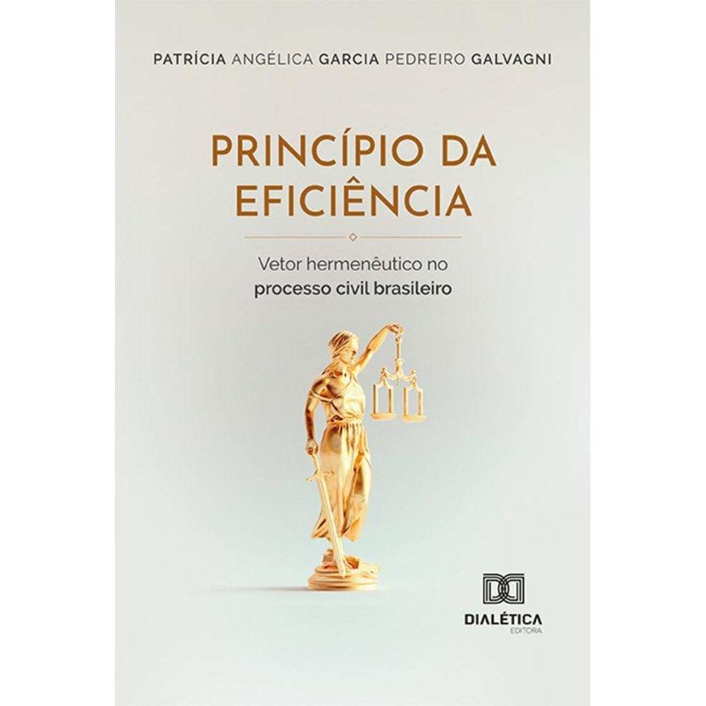 Princípio da eficiência - Vetor hermenêutico no processo civil brasileiro