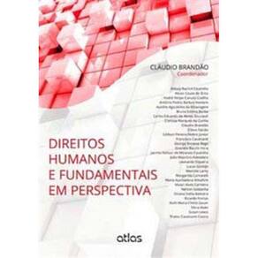 Direitos Humanos e Fundamentais Em Perspectiva 01