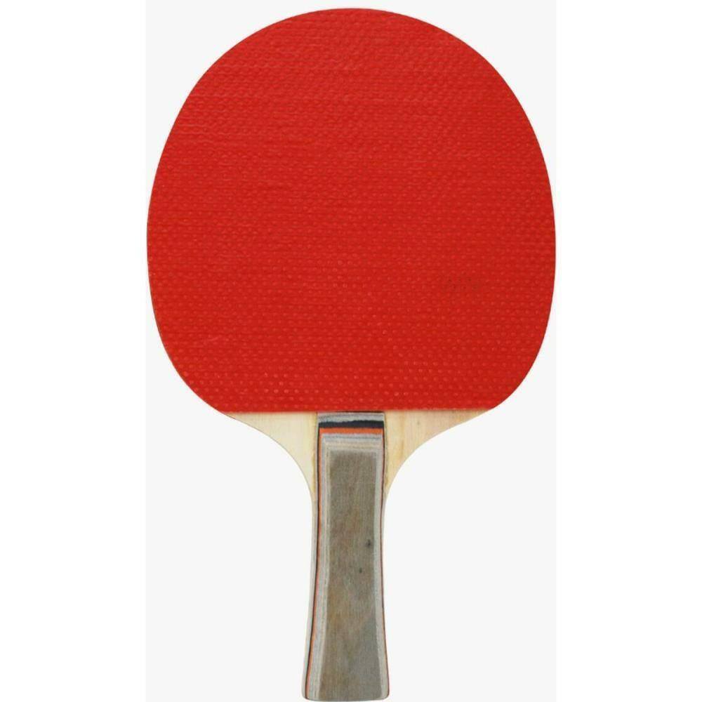 RAQUETE DE PING PONG FR 100