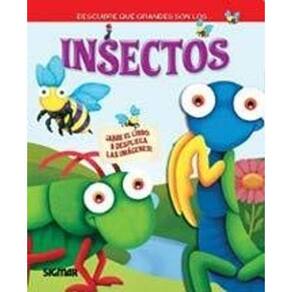 Insectos / Insects
