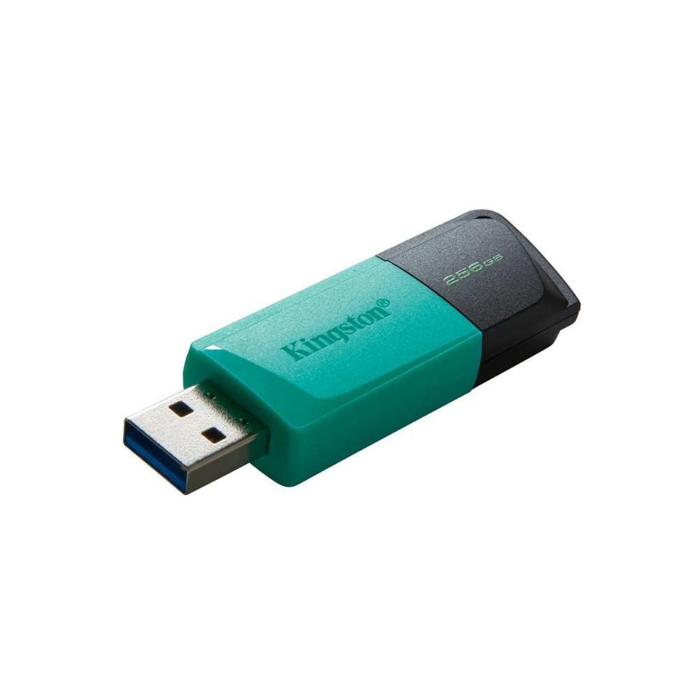 Pen Drive 256GB Kingston Exodia M, USB 3.2, DTXM/256GB