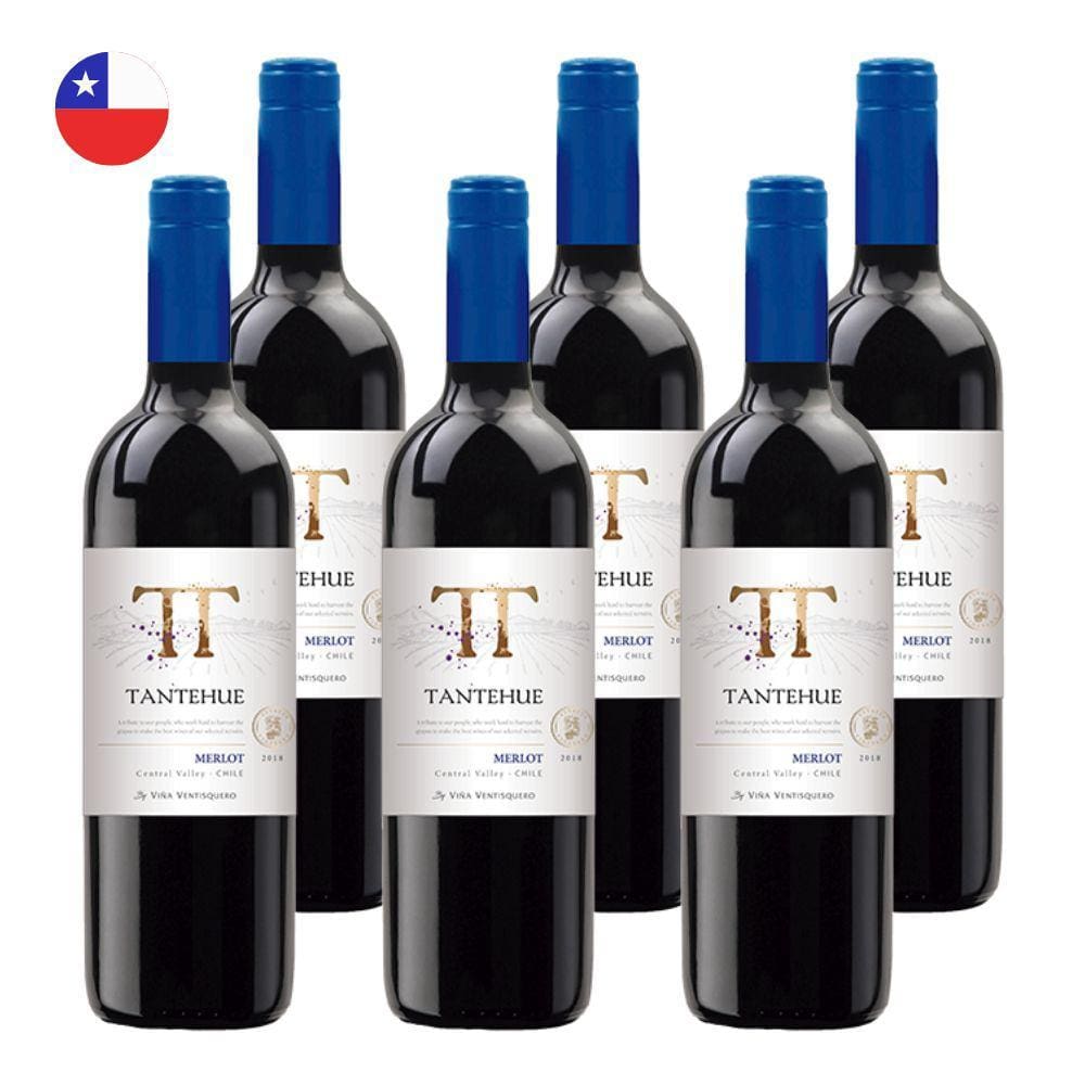 Kit 6 Vinhos Ventisquero Tantehue Merlot Tinto Chile 750ml