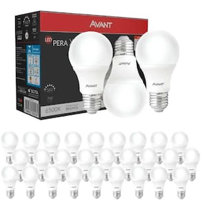 Lâmpada LED Pera 7W Bivolt 6500K com 30 Unidades AVANT