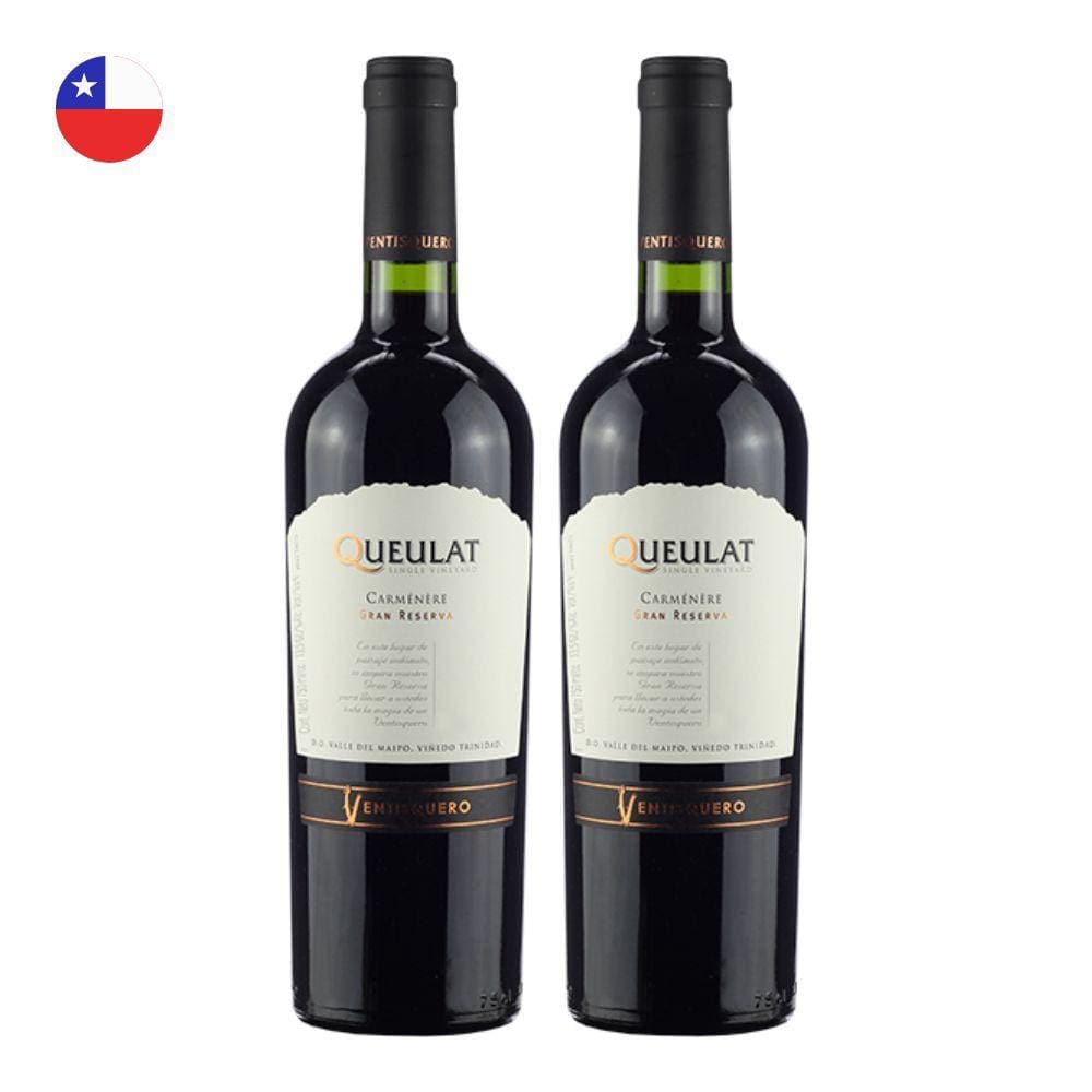 Kit 2 Vinhos Ventisquero Queulat Gran Reserva Carménère Tinto Chile 750ml