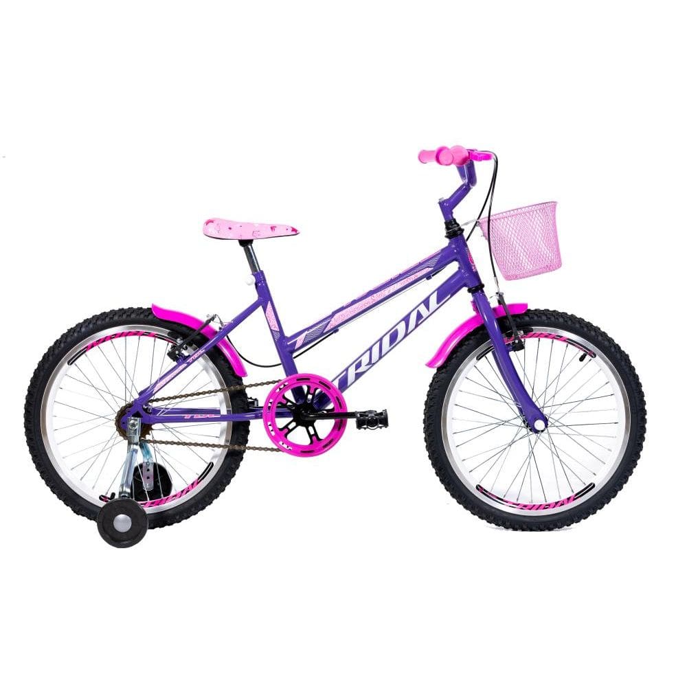 Bicicleta Aro 20 Feminina Infantil Roda Lateral Tridal - Lilás