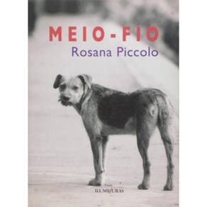 Meio-Fio