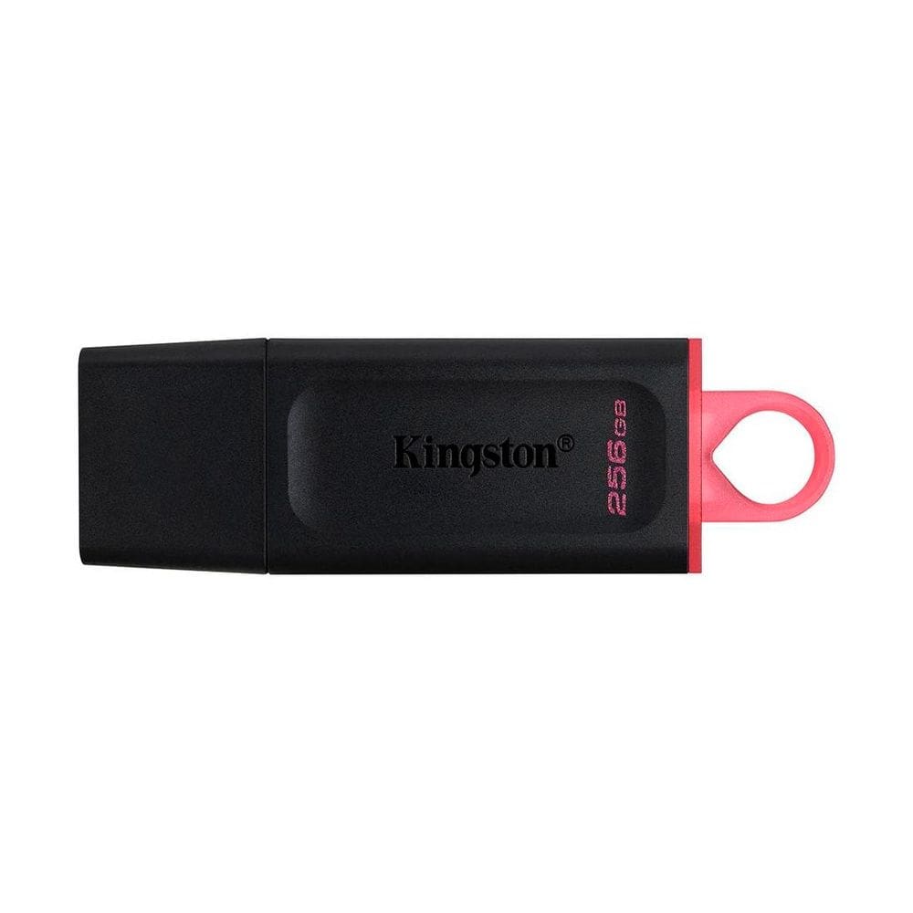 Pen Drive Kingston DataTraveler Exodia 256GB DTX/256GBi
