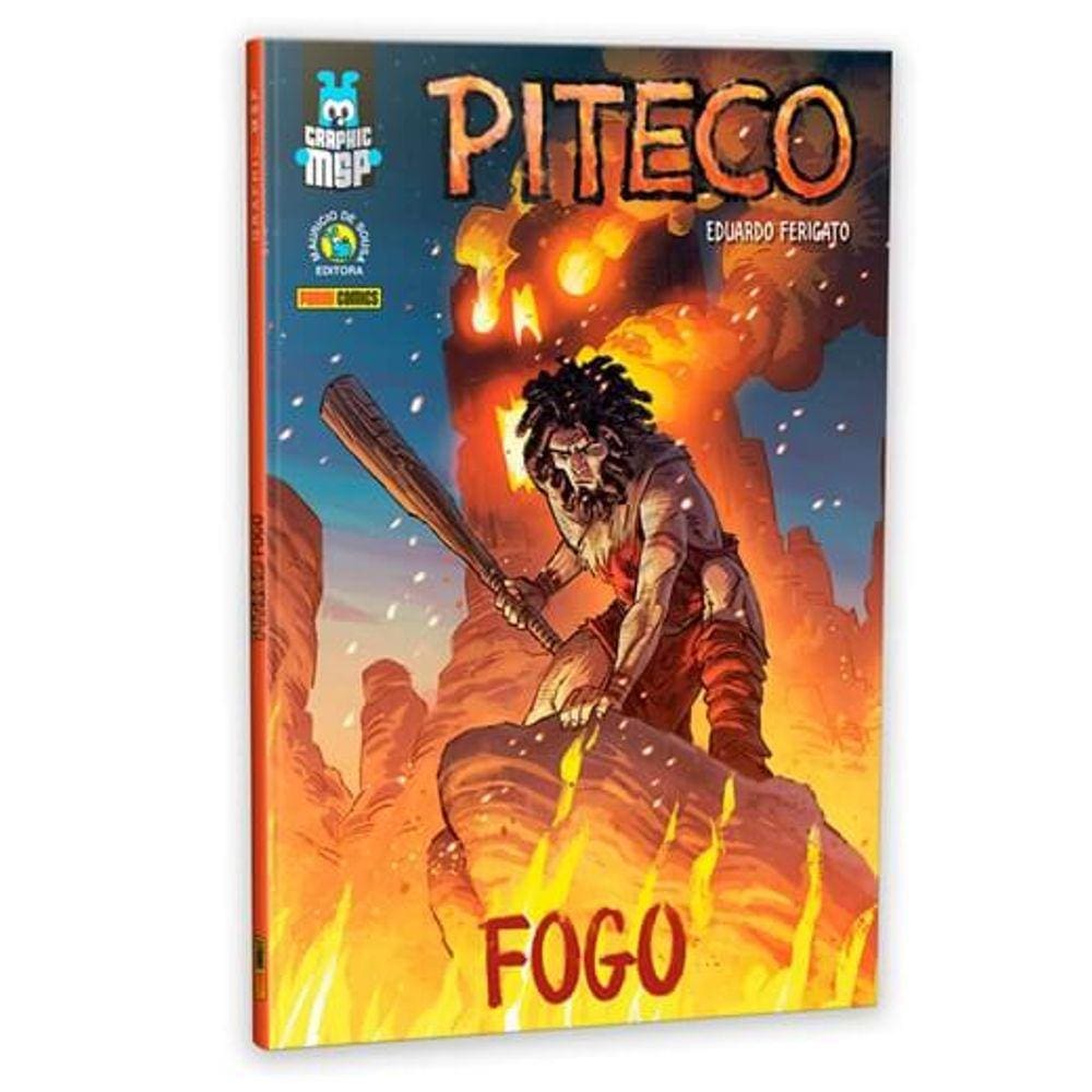 Graphic MSP - Piteco Fogo