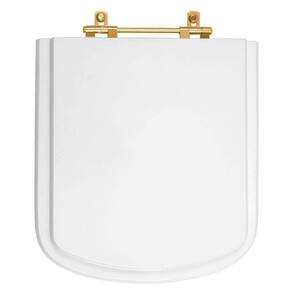 Assento Sanitário Poliéster Bali Branco para vaso Incepa Com Ferragem Dourada