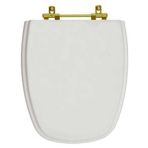 Assento Sanitário Monte Carlo Cinza Real para vaso Deca Com Ferragem Dourada