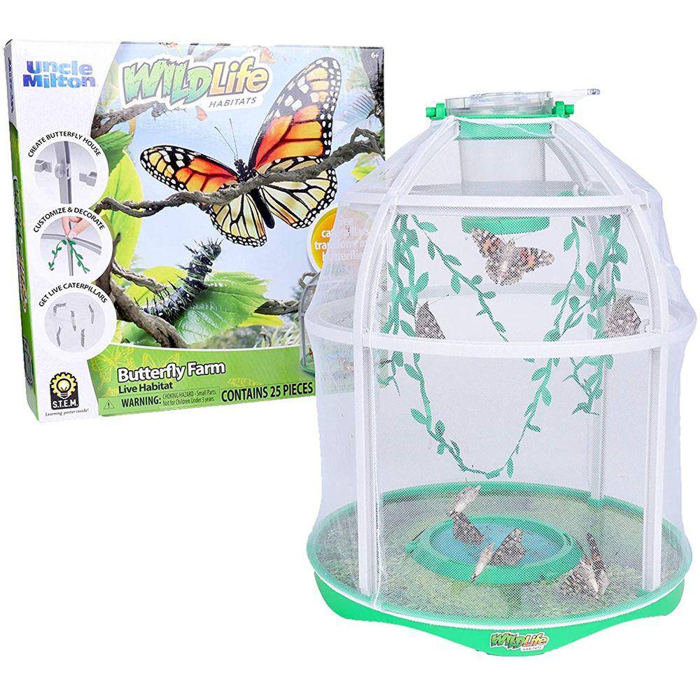 Tio Milton Butterfly Farm Live Habitat - Observe Butterfly Lifecycle in Garden - Inclui para Resgatar para Lagartas