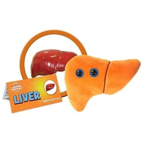 GIANTmicróbios Fígado Plush - Brinquedo de órgão anatômico, Get Well Gift para pós-cirurgia ou doença, Presente divertido único para amigos, familiare