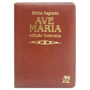 Bíblia Edição Ilustrada Luxo - Média - Marrom