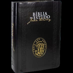 Bíblia De Estudo John Wesley - Capa Luxo: Nova Almeida Atualizada (naa), De Sociedade Bíblica Do Brasil. Editora Socieda