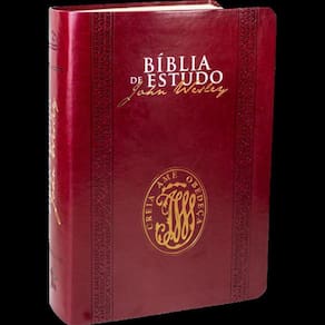 Bíblia De Estudo John Wesley - Capa Couro Sintético Vinho: Nova Almeida Atualizada (naa), De Sociedade Bíblica Do Brasil