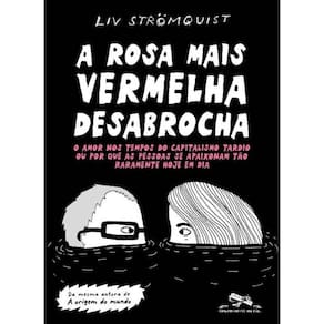 A rosa mais vermelha desabrocha