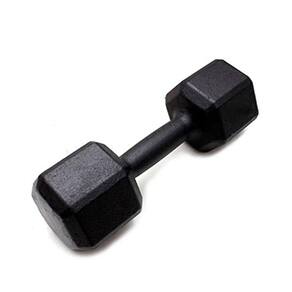 Peso Halter Sextavado Pintado 8kg Musculação Fitness