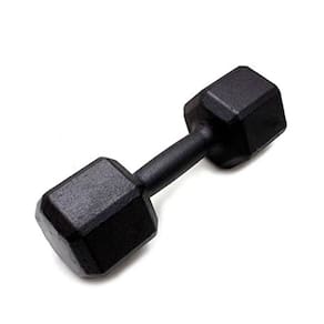 Halter Sextavado Pintado Musculação Academia Fitness 24kg