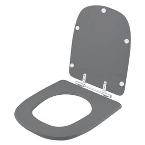 Assento Sanitario Poliester Ambar (Cinza Escuro) Para Vaso