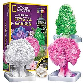NATIONAL GEOGRAPHIC Craft Kits for Kids - Crystal Growing Kit - Grow a Crystal Garden in Just 6 Hours, Educational Craft includes Art Project, Geode,