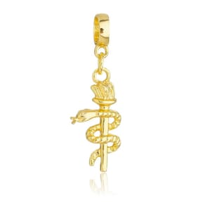 Pingente Berloque Símbolo da Odontologia Pandora Banhado a Ouro 18k - Premium