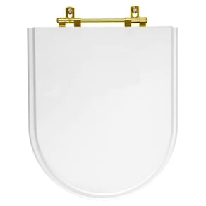 Tampa De Vaso Meridian Branco Para Bacia Roca