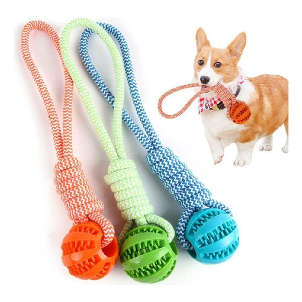 Brinquedo Interativo Pet Ball Pet Games