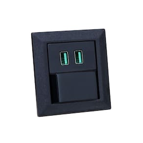 Espelho de Tomada Duplo Chanfrado 1 Interruptor 2Usb 4.9A Pr