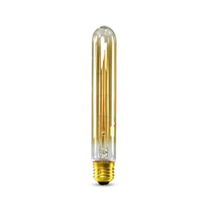 Lâmpada Filamento Carbono Dimerizável ST30 E27 40W 2400K 220V