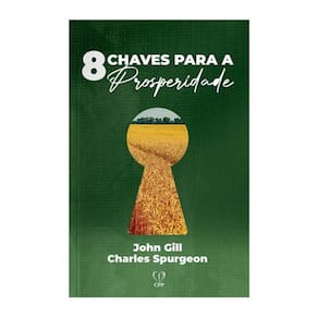 Livro 8 Chaves Para A Prosperidade - Gill E Spurgeon Baseado Na Bíblia