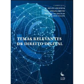 Temas Relevantes De Direito Digital