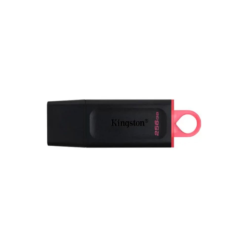 Pen Drive Kingston Datatraveler Exodia 256GB DTX/256GBI