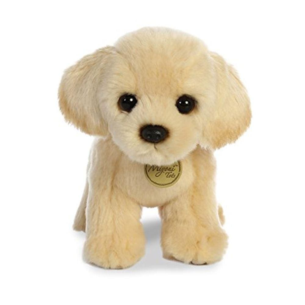 Aurora - Miyoni - Filhote de Laboratório Dourado de 10”, Tan