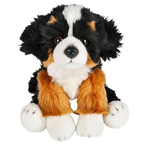 Aventura Planeta Bernese Mountain Dog Heirloom Disquete 12"
